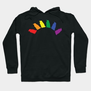 Abstract Pride Penguins Rainbow Hoodie